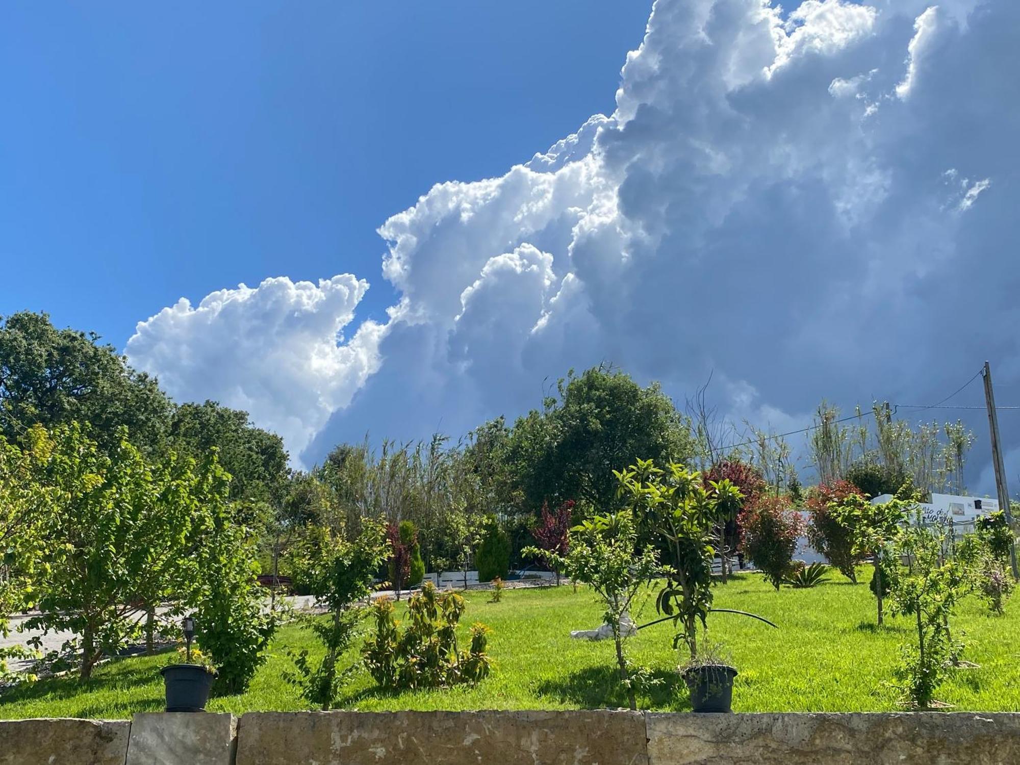 Alto Do Moinho Leilighet Alcobaça Eksteriør bilde
